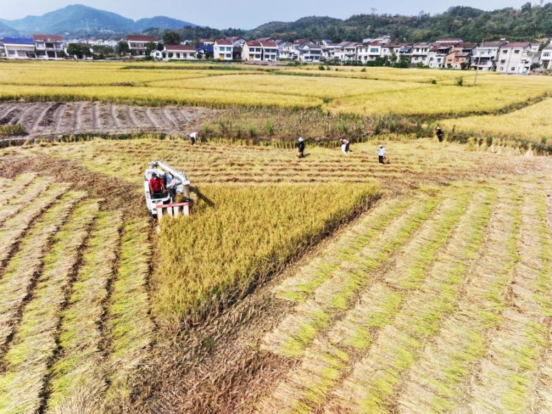 Пет години след премахването на абсолютната бедност: къде се намира Китай и какво следва