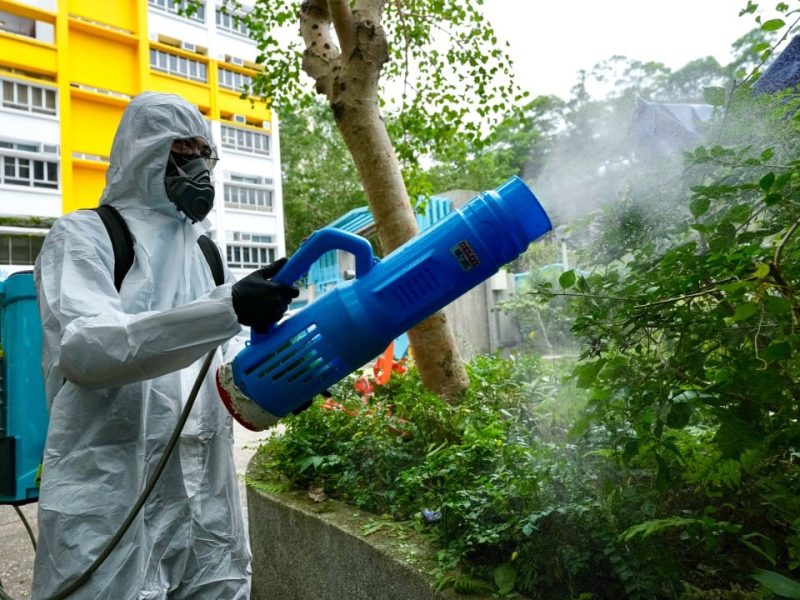 Хонконг потвърждава втори локален случай на треска чикунгуня