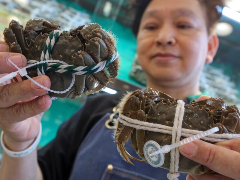 Хонконг, комплект за по -евтини, по -свежи космати раци, тъй като вносът на континентален Китай възобнови възобновяване