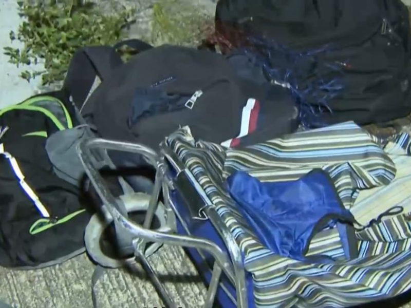 Полицията на Хонконг Хънт 4 заподозрени, свързани с камери с диви глигани