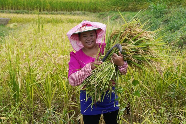 Търговията с храни на страните партньори на Китай и BRI ще расте