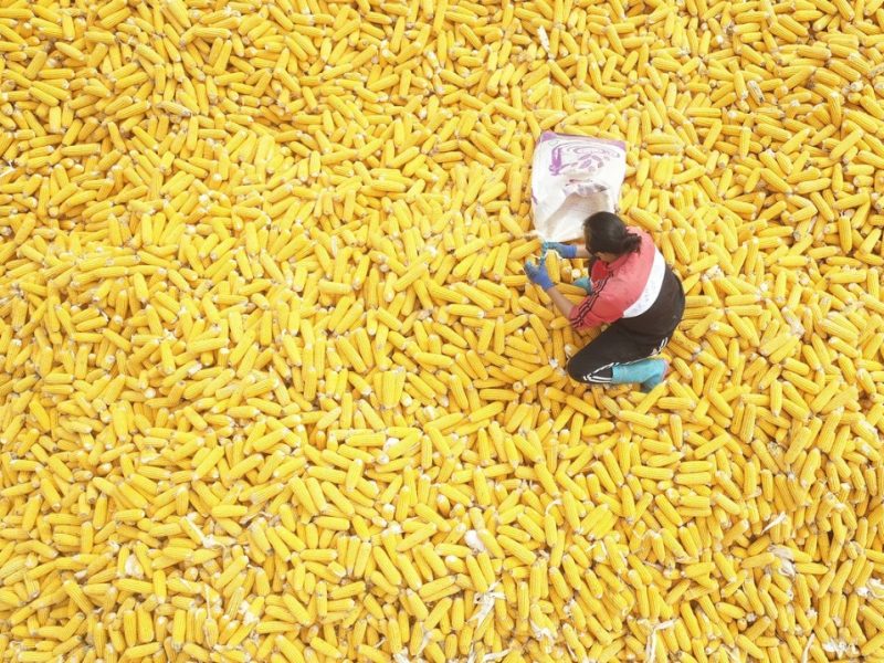 Десет снимки от цял ​​Китай: 10 – 16 октомври