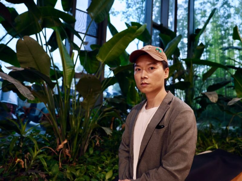 AI благословия или проклятие за новото поколение писатели в Китай?