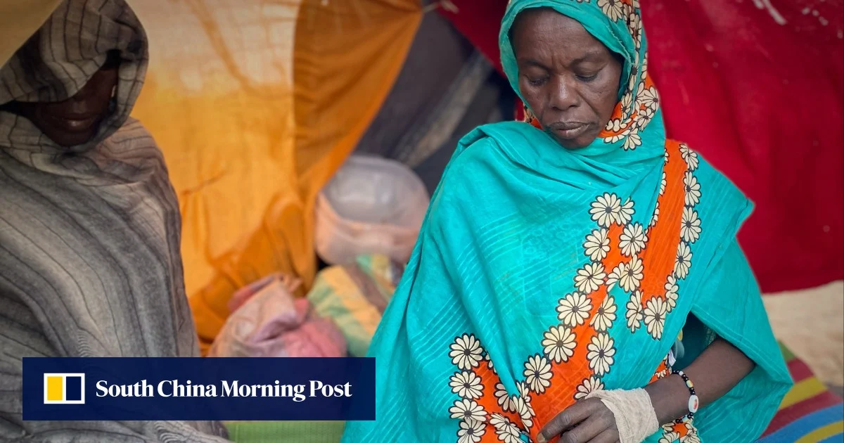 Оцелелите от El-Fasher твърдят, че RSF на Судан задържа стотици