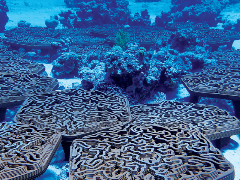 Нови санкции на САЩ спират доставките на TSMC към повече фирми за проектиране на чипове в континентален Китай · TechNode