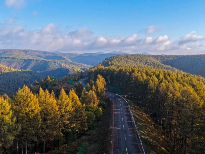 Десетилетия труд в Saihanba носят значими зелени дивиденти