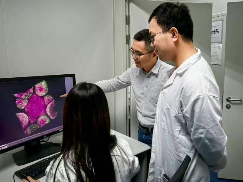 Нов механизъм подпомага растениевъдството и хранителната сигурност