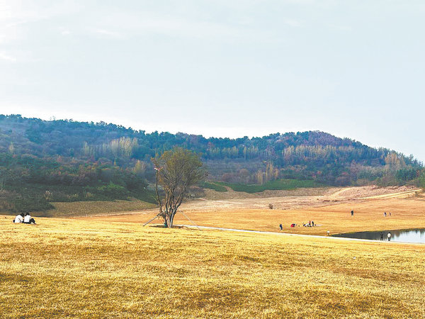 Bailu Bay превръща еко-възраждането в селски просперитет