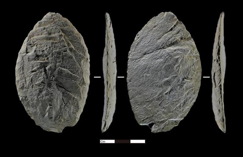 Откритие на голяма надморска височина хвърля светлина върху ранните заселници на Цинхай-Тибетското плато