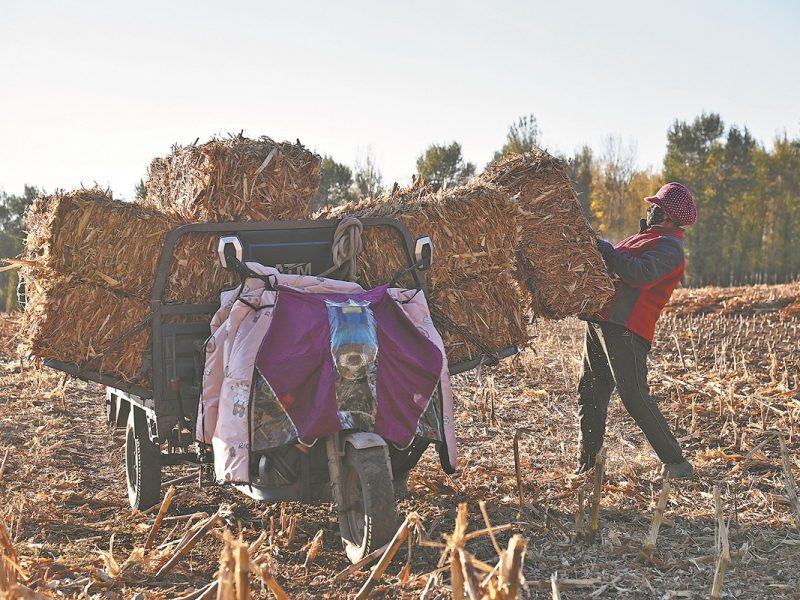 Предоставянето на земя е ключът към насърчаване на търговията с рециклиране