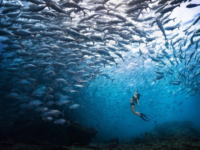 Китай и САЩ провеждат редовни преговори на различни нива, казва MOC