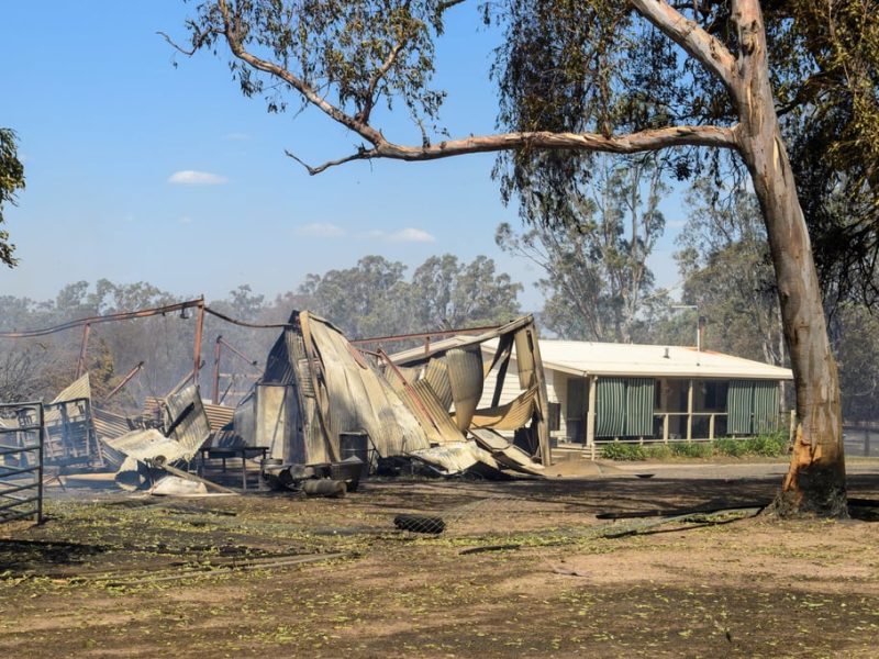 Австралия обявява бедствено положение, тъй като горски пожари разкъсват Виктория: „напуснете, тръгвайте“