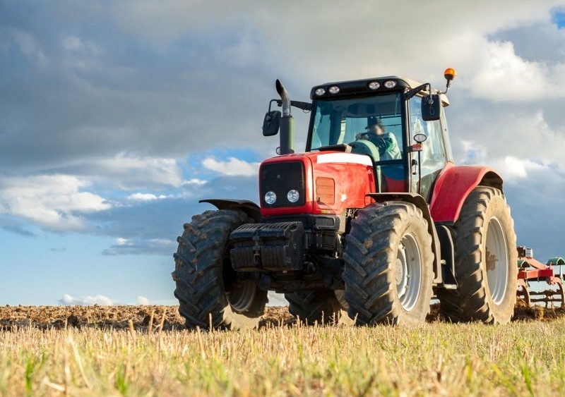 Ключови фигури в хранителната верига – заетост в селското стопанство