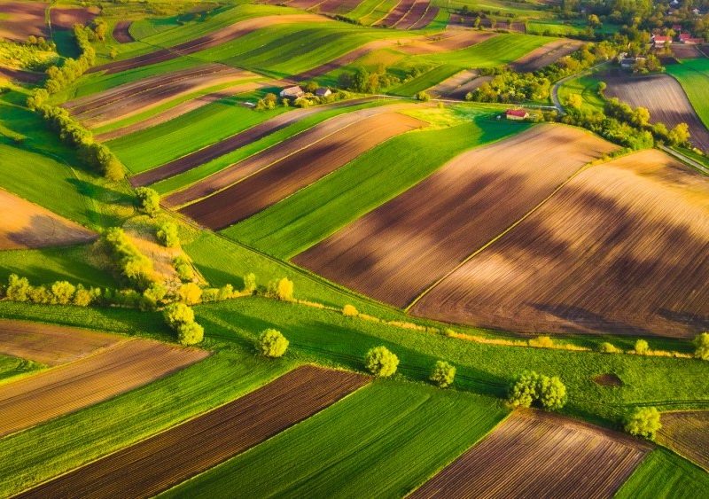 Цената на земеделската земя в ЕС се е увеличила с 6,1% през 2024 г