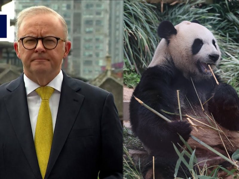 Не сте „съвместими с Тръмп“? Китайският експерт Ръд напуска ролята на посланик на Австралия в САЩ