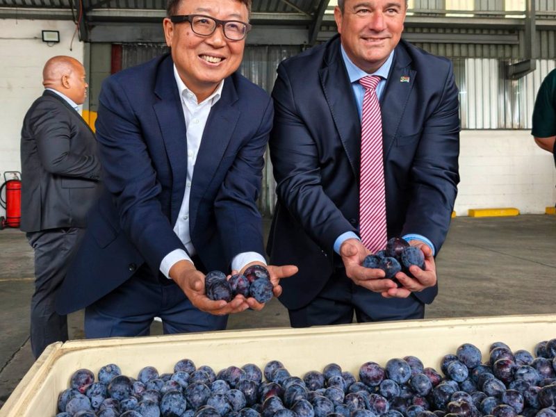 Китай казва, че няма да търси реципрочност с Южна Африка относно политиката на нулеви мита