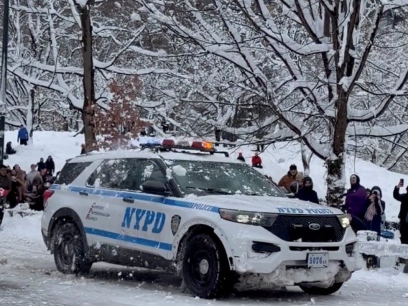 Полицията в Ню Йорк арестува мъж, след като полицаи бяха замеряни по време на бой със снежни топки