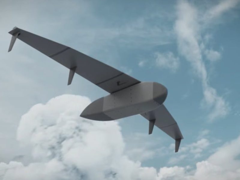 Могат ли германските стелт товарни планери да увеличат отбраната и логистиката на отдалечените острови на Япония?