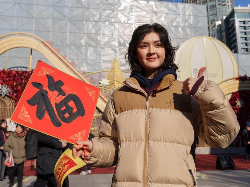 Jing’an отбелязва 2026 година на коня със светлинно шоу, панаир в стил Шанхай