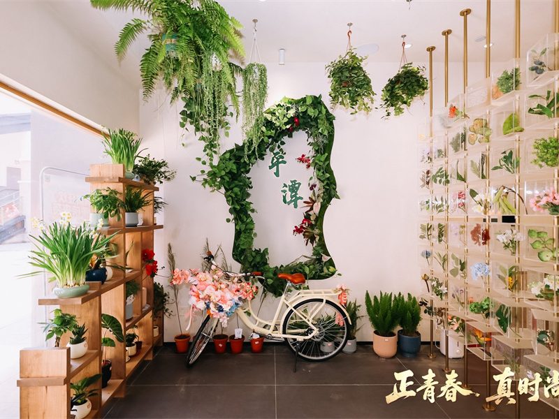 Тайванският град в Пингтан се отваря отново след реконструкция