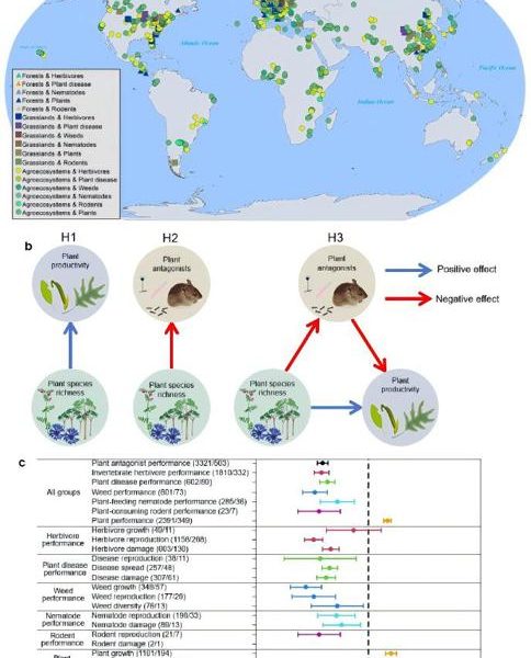 Глобално проучване, ръководено от Шанхай, подкрепя растителното разнообразие в селското стопанство