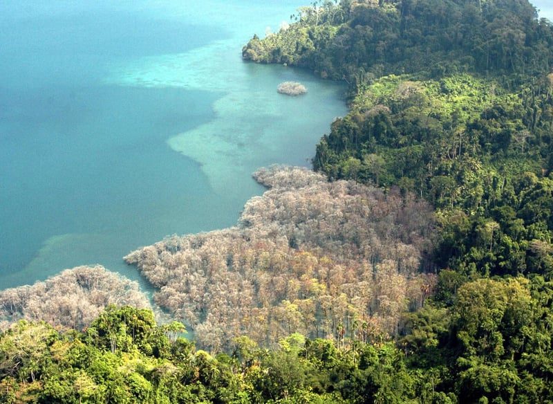 Огромното ново мегапристанище на Индия край Югоизточна Азия получава зелена зелена светлина