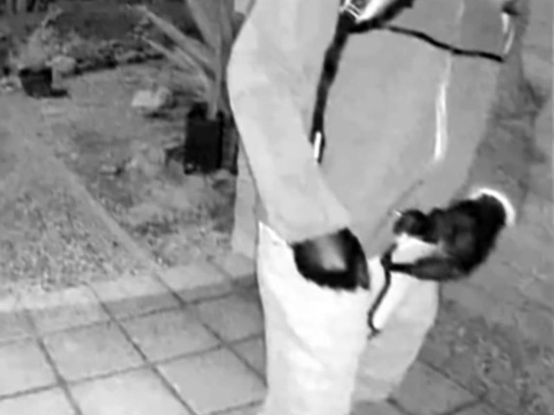 Изчезването на Нанси Гътри: ФБР публикува снимки на маскиран човек