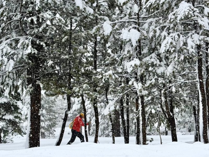 9 изчезнали в калифорнийска лавина, тъй като условията на бял свят възпрепятстват спасяването