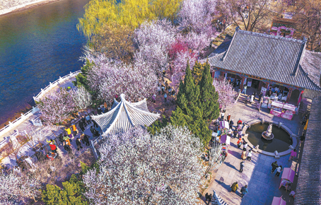 Tianjin peach fest предлага по нещо за всеки