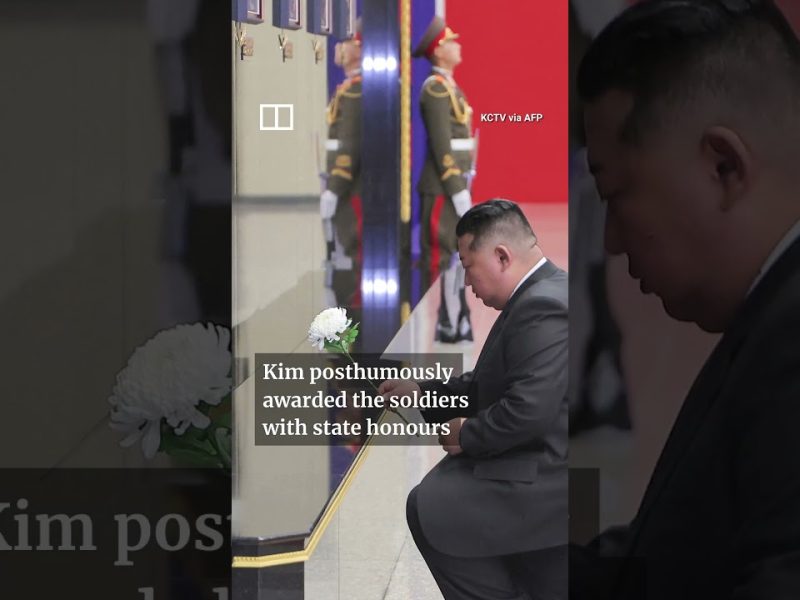 По-голямата част от Черниговска област на Украйна е без ток след руската атака