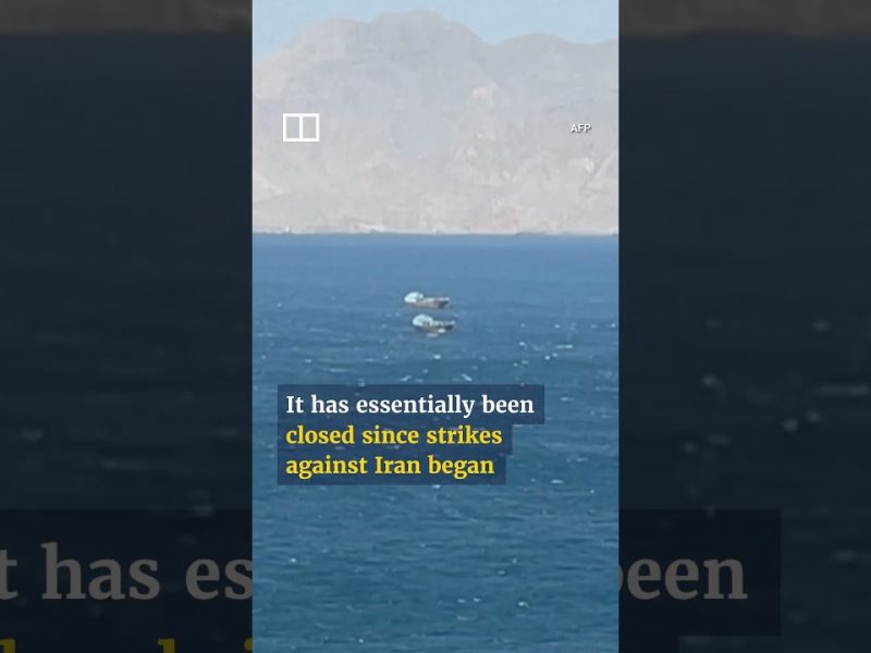 Приемете специален закон за изпращане на военните кораби на Япония да охраняват Ормуз, казва бившият съветник на Такаичи