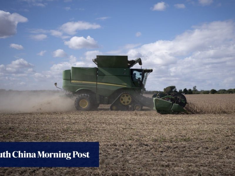 Как SBTI превърна MBTI в най-новия вирусен мем в Китай · TechNode