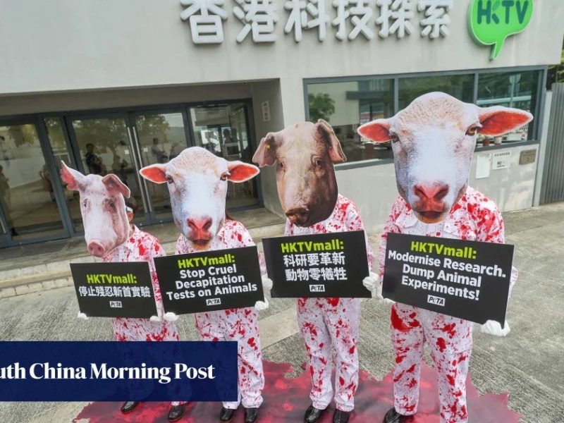 Хонконгски групи за животни призовават HKTVmall да бойкотира експерименти в областта на науката за живота