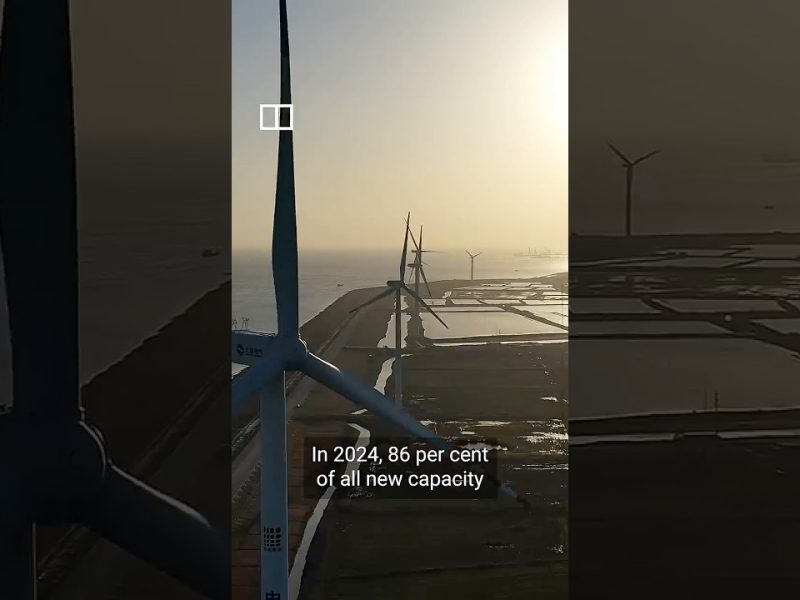 Китай е готов да пожъне награди, тъй като енергийният шок разгорещява надпреварата за възобновяеми източници